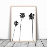 Palm Tree Print, Palm Print, Palm Tree Photography, Black and White, Palm, Palm Tree, Tropical Wall Art, Tropical Decor, Wall Decor, Black and White Palm Tree, Black Palm Tree, Minimalist, 8×10