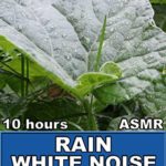 Rain White Noise for Sleep 10 Hours ASMR