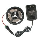 GALYGG DC12V White SMD 2835 Non-Waterproof LED Light Strip Lights 16.4ft/5m,300 Units LEDs Tape,Contain Flexible LED Strip Lighting with 2A Power Supply Plug,for Gardens/Homes/Kitchen/Cars/Bar…