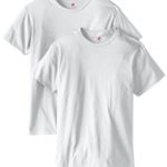 Hanes Men’s Nano Premium Cotton T-Shirt (Pack of 2), White, Large