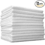 (12-Pack) **SPECIAL SALE** 14″ x 14″ Professional Grade All-Purpose Microfiber Cleaning Towel – THE RAG COMPANY (White)