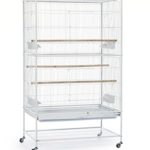 Prevue Pet Products Wrought Iron Flight Cage with Stand, Chalk White