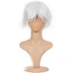 Ecvtop Wigs for Mens’ Death Note Male Short Hair Wig Costume Cosplay Wigs (White)