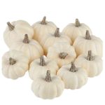 Factory Direct Craft Package of Small Off White Mixed Artificial Pumpkins for Fall Decorating – 12 Pieces