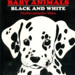 Baby Animals Black and White