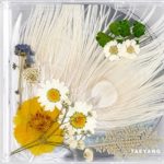 TAEYANG – WHITE NIGHT (Vol.3) [White ver.] CD+Photobook+Folded Poster