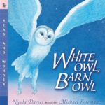 White Owl, Barn Owl: Read and Wonder