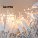 LIDORE 100 Counts Super Bright Clear Mini Christmas tree Lights. White Wire Best Gift for Decoration. End to End Connection. Set of 100