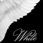 White (The Wings Trilogy Book 1)