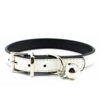 JIngwy Metal Buckle Pet Collar With Bell Suit for Cats or Puppy Dogs White/ Black/ Red/ Pink/ Blue/ Brown (S (Collar), White)