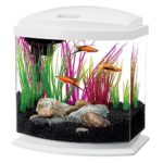 Aqueon LED MiniBow Aquarium Starter Kits with LED Lighting, 2.5 Gallon, White