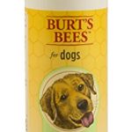Burt’s Bees for Dogs Tear Stain Remover with Chamomile, 4 Ounces
