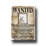 West Highland White Terrier Wanted Fridge Magnet