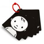 Black, White & Red Infant-Stim Clip Along High Contrast Flash Cards for Baby