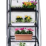 Gardman R687 4-Tier Mini Greenhouse, 27″ Long x 18″ Wide x 63″ High