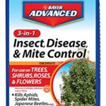 Bayer Advanced 701285B 3-in-1 Insect Disease & Mite Control Concentrate, White