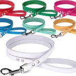 BronzeDog Leather Dog Leash 4ft, Heavy Duty Training Leather Dog Lead Puppy Leash Small Medium Large White Pink Red Blue Green Yellow Turquoise (L 4 ft, White)