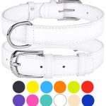 CollarDirect Genuine Leather Dog Collar 12 Colors, Soft Padded Collars for Puppy Small Medium Large, Mint Green Black Pink White Red Blue Purple (White, Size M Neck Fit 12″-14″)