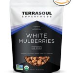 Terrasoul Superfoods Sun-dried White Mulberries (Organic), 16-ounce (Pack of 2)