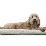 Furhaven Pet Kennel Pad | Faux Lambswool & Sherpa Bolster Pet Bed for Kennels & Crates, Cream, X-Large