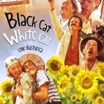 Black Cat, White Cat