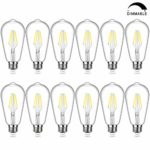 Edison Bulb, SHINE HAI Dimmable Vintage LED Filament Light Bulbs, Daylight White 5000K, 4W (40W Equivalent), 400Lumens, E26 Base, Clear Glass, Pack of 12