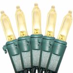 Holiday Essence Christmas LED Lights, 100 Warm White String Lights for Indoor and Outdoor Decorative Use, Holiday and Tree Decor, Patio Hanging Lighting Decorations, Green Wire, 27 Ft, UL Certified
