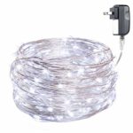 Starry String Led’s Lights 120 Individually Mounted Led’s, 40 ft, Pure White