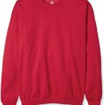 Hanes Men’s Ecosmart Fleece Sweatshirt