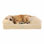 Friends Forever Orthopedic Dog Bed Lounge Sofa Removable Cover 100% Suede 4″ Mattress Memory-Foam Premium Prestige Edition 44″ x 34″ x 10″ Vanilla White XL