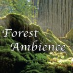 Forest Ambience – Healing Nature Sounds for Relaxation, Massage Therapy, Reiki and Sleep