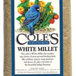 Cole’s MI20 White Millet Bird Seed, 20-Pound