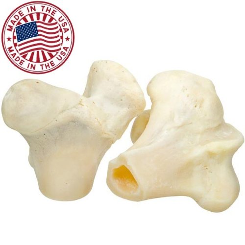 White Knuckle Dog Bones (10 Pack) Bulk Healthy Dog Dental Treats
