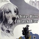White Bim Black Ear