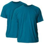 Gildan Men’s Ultra Cotton Adult T-Shirt, 2-Pack