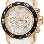 Invicta Men’s Pro Diver Stainless Steel Quartz Watch with Silicone Strap, Two Tone, 1 (Model: 20292)