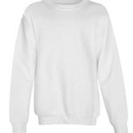 Hanes – EcoSmart Youth Crewneck Sweatshirt – P360