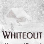 WHITEOUT: Above and Beyond (Beauty of Life Book 10)