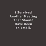 I Survived Another Meeting That Should Have Been An Email.: Lined notebook