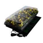 Heated Seed Germination Station from BonsaiOutlet