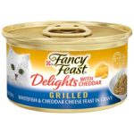 Purina Fancy Feast Gravy Wet Cat Food, Delights Grilled Whitefish & Cheddar Cheese Feast in Gravy – (24) 3 oz. Cans