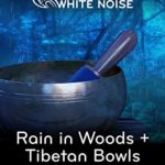 Relaxing White Noise: Rain in Woods + Tibetan Bowls – Relax, Study Or Sleep With White Noise Music