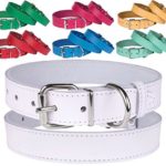 BRONZEDOG Genuine Leather Dog Collar Puppy Pet Collar for Dogs Small Medium Large Pink Red Blue Green Turquoise White Yellow (Neck Size 11″ – 12″, White)