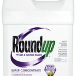Roundup Weed and Grass Killer Super Concentrate, 1-Gallon