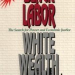 Black Labor, White Wealth : The Search for Power and Economic Justice
