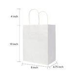 Oikss 100 Pack 8×4.75×10 inch Medium Kraft Bags with Handles Bulk, Paper Bags Birthday Wedding Party Favors Grocery Retail Shopping Takeouts Business Goody Craft Gift Bags Sacks (White 100PCS Count)