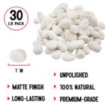 Bulk Unpolished White Pebbles 30 Lb. – 1 inch Pebbles for Plants, Gardens, Fish Tank Gravel, Décor, Landscaping, Succulent, Terrarium, 100% Natural Stone Pebbles Decorative Rocks, Matte White
