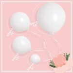 MOMOHOO White Balloons Different Sizes – 100Pcs 5/10/12/18 Inch Birthday Party Balloons, Pearl White Latex Balloons, Matte White Balloons Garland Kit, Pastel White Wedding Ballons Anniversary Balloons