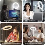 Video Conference Lighting for Laptop Computer, 10.5” Selfie Ring Light with Stand and Phone Holder for Remote Working, Zoom Meeting Calls, Webcam Lighting, Live Streaming, Video Recording (White)