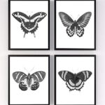 Black & White Butterflies Wall Art Prints. Set of 4-11×14 UNFRAMED Vintage Reproduction Art Print Decor.
